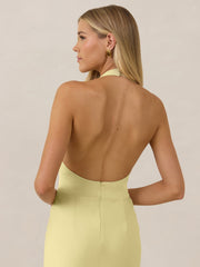 Elegant Dress
