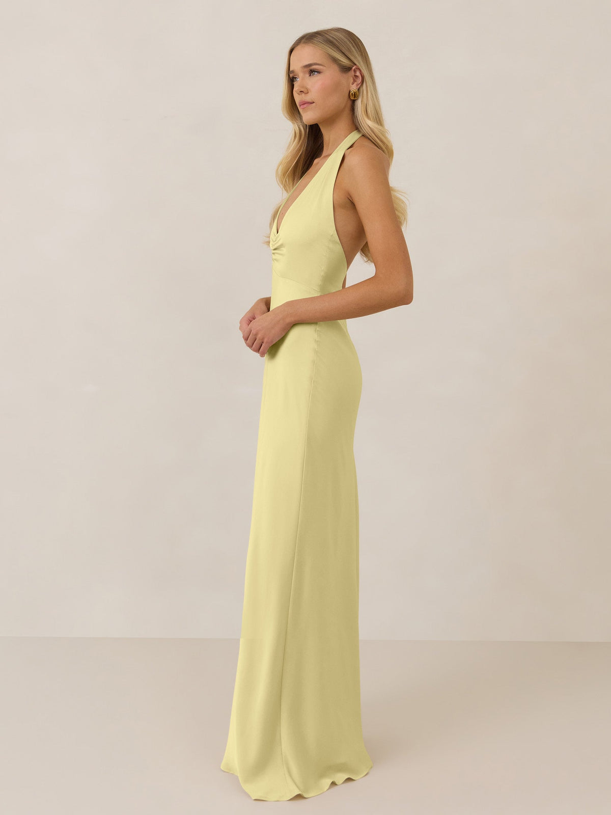Elegant Dress