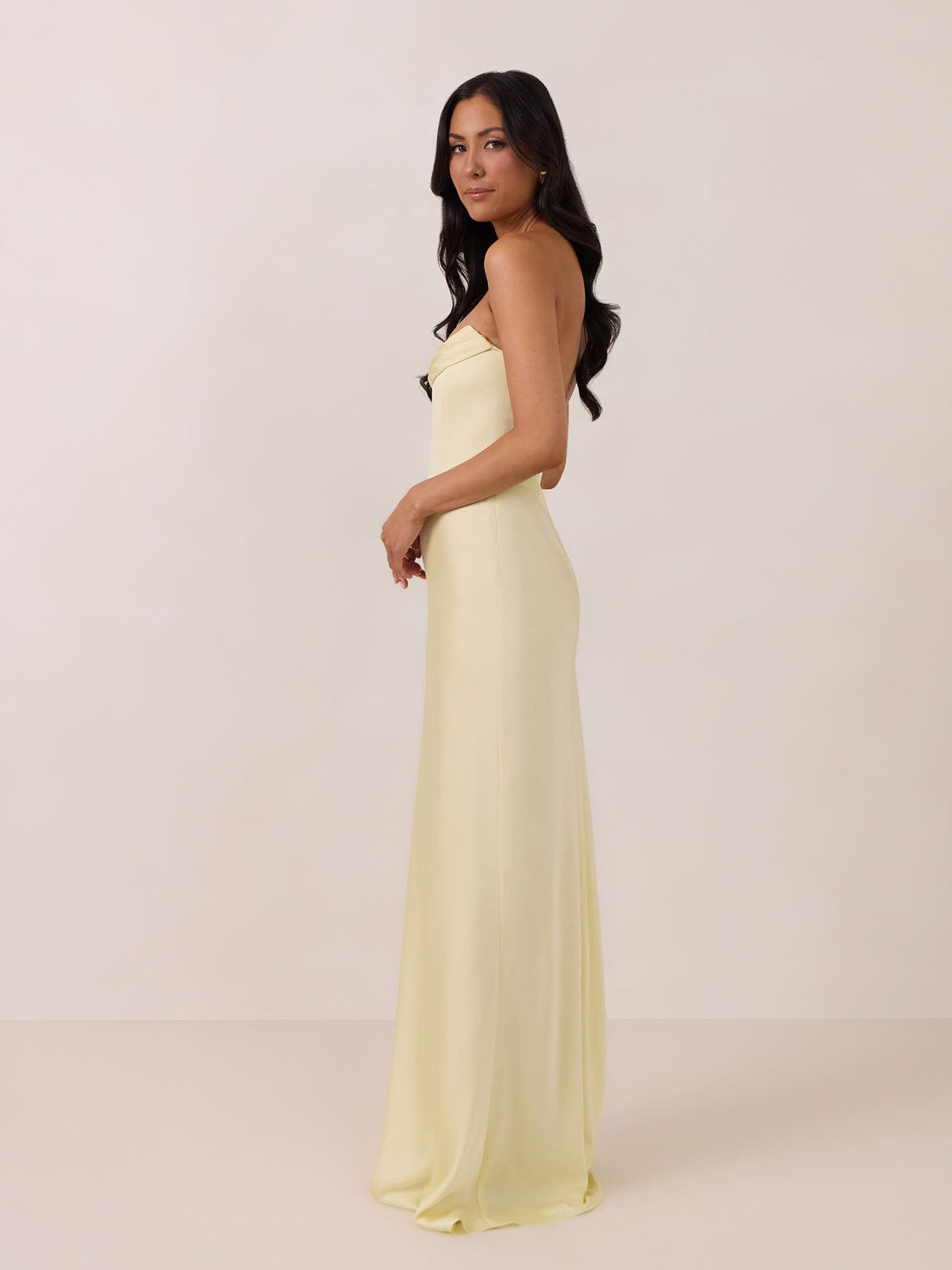 Elegant Dress