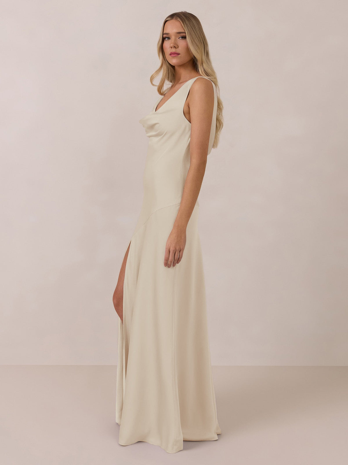 Elegant Dress