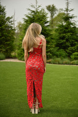 Red Carpet Dress